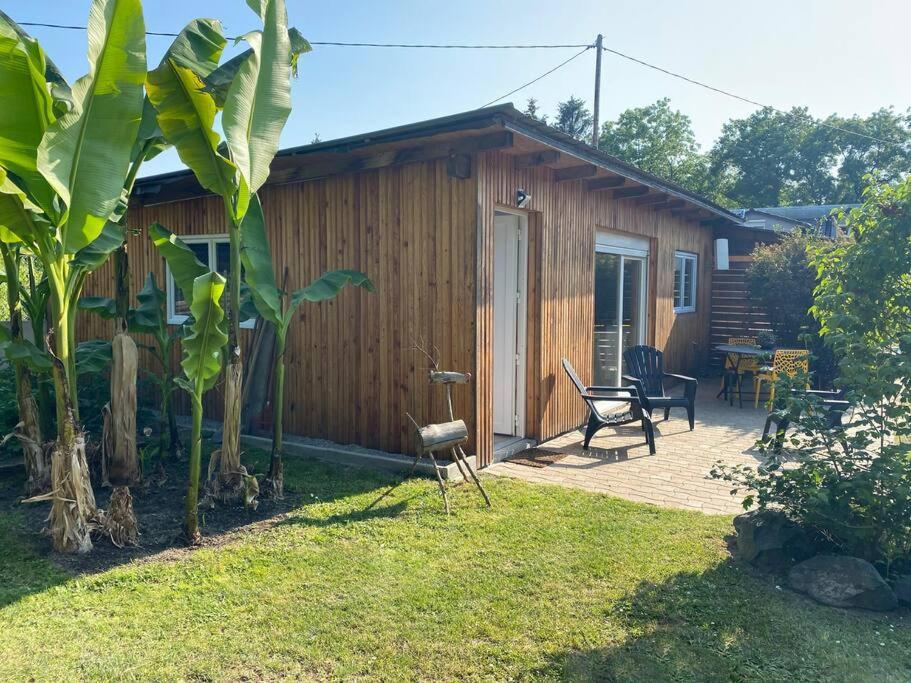 Gite Vogelau Schiltigheim Εξωτερικό φωτογραφία